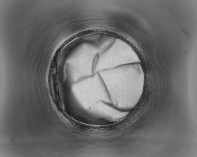 X0000113370791200910061059