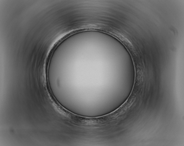 X0000113370792200910061059