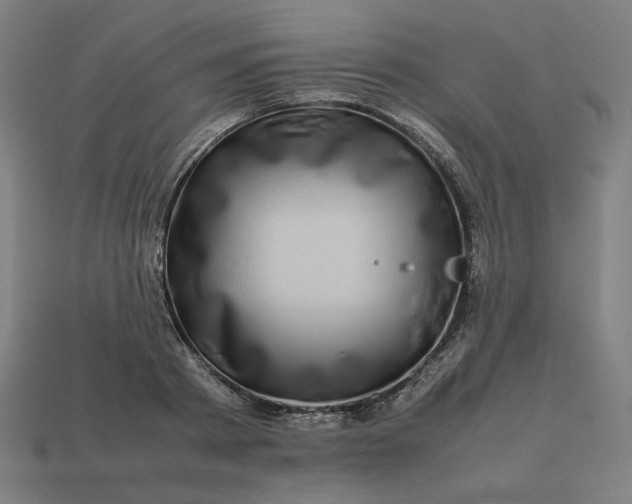 X0000113370793200910061059