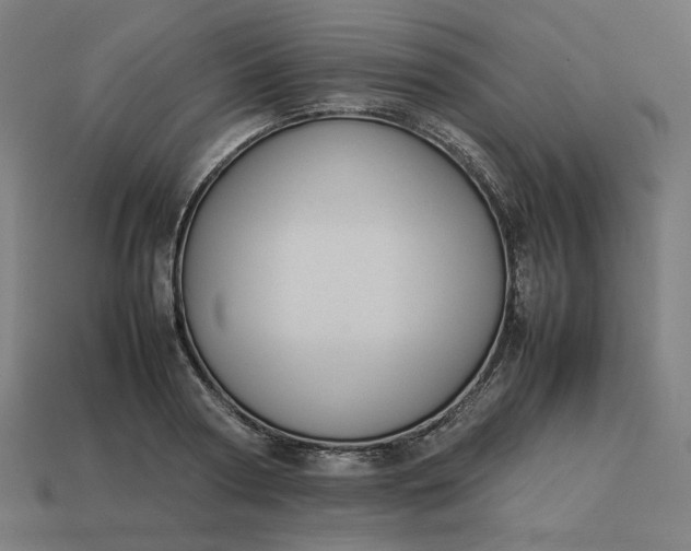 X0000113370794200910061059