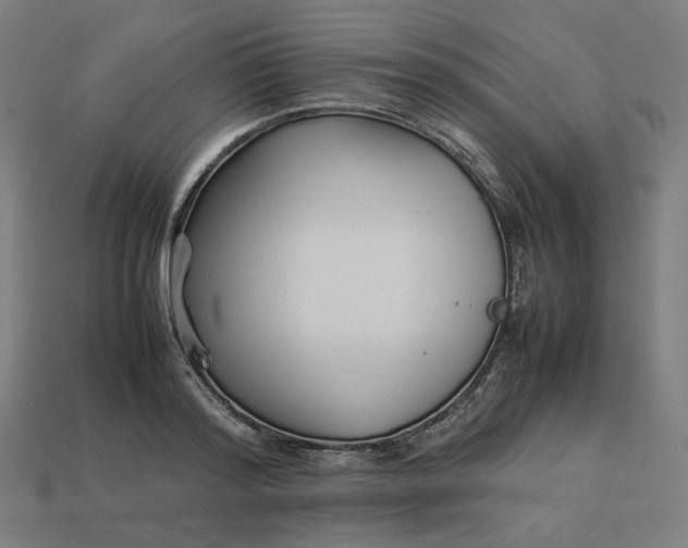 X0000113370796200910061059