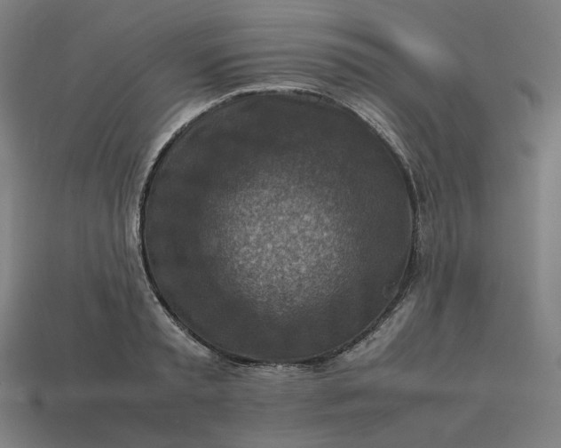 X0000113370797200910061059