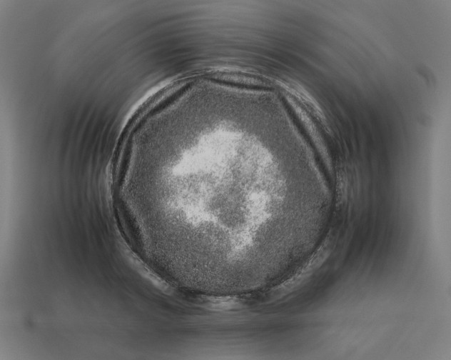 X0000113370798200910061059