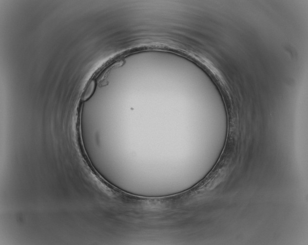 X0000113370799200910061059