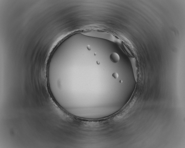 X0000113370800200910061059