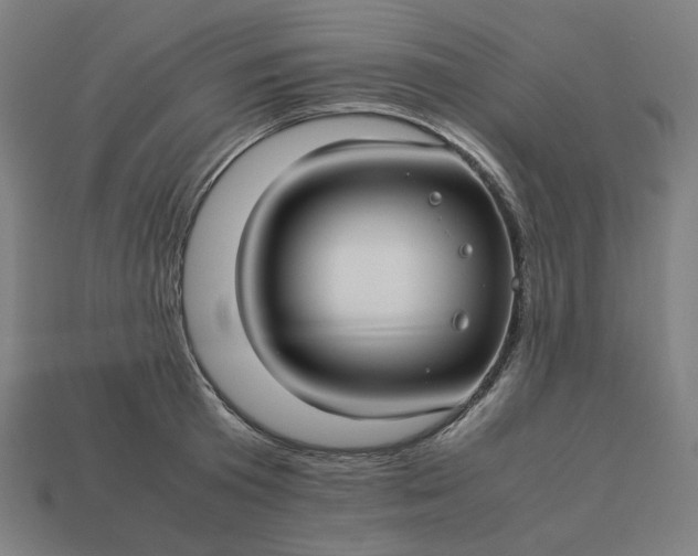 X0000113370801200910061059