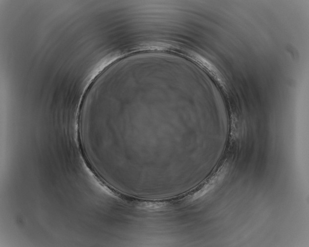 X0000113370802200910061059