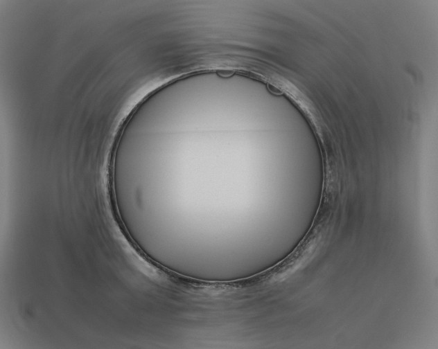 X0000113370803200910061059