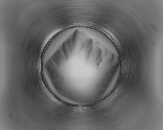 X0000113370804200910061059