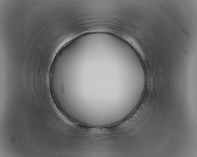 X0000113370805200910061059