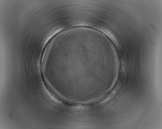 X0000113370806200910061059