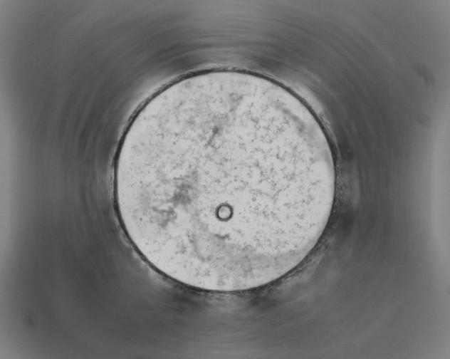 X0000113370807200910061059