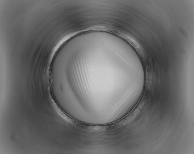 X0000113370808200910061059