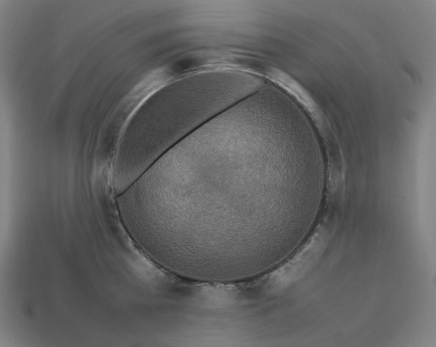 X0000113370809200910061059