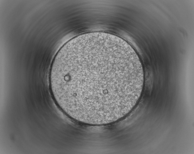 X0000113370810200910061059