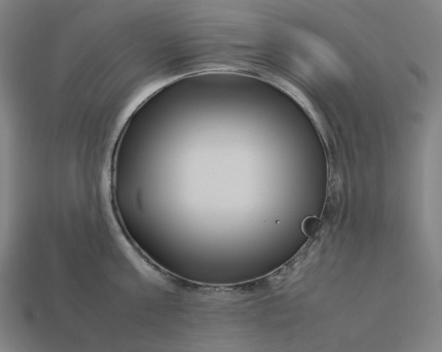 X0000113370811200910061059