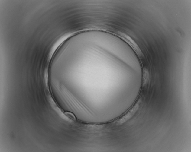 X0000113370812200910061059