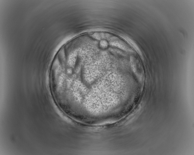 X0000113370813200910061059