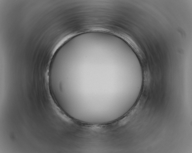 X0000113370814200910061059