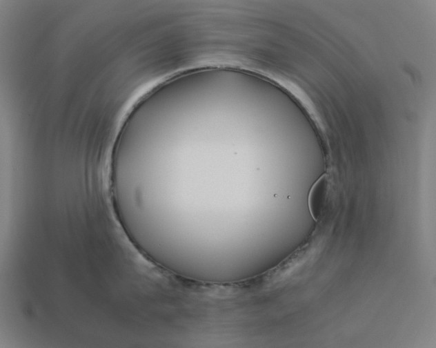 X0000113370815200910061059