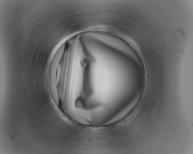 X0000113370816200910061059