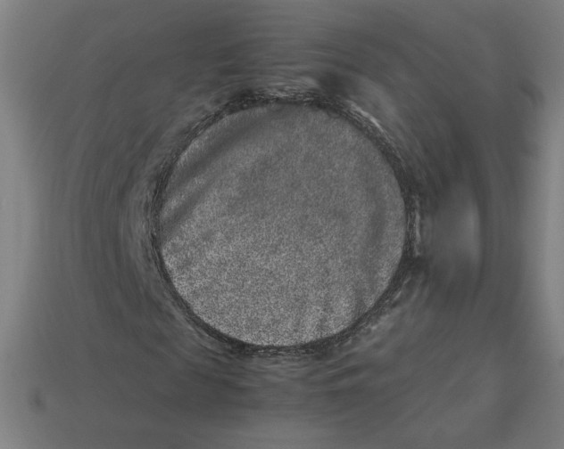 X0000113370817200910061058