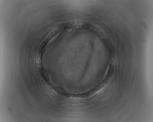 X0000113370818200910061058