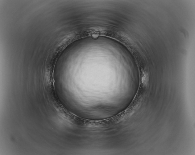 X0000113370819200910061058