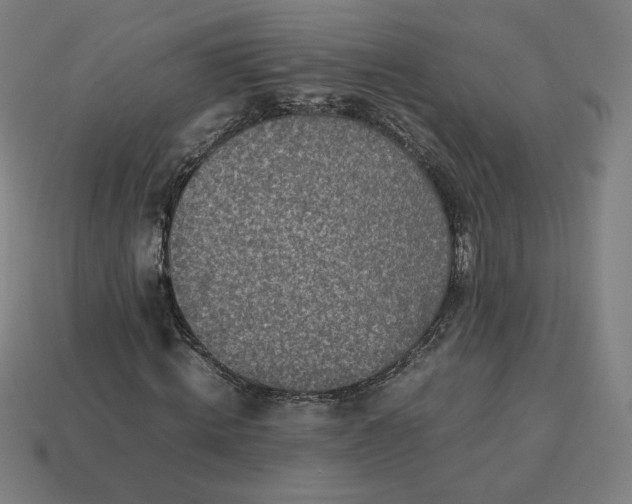 X0000113370820200910061058