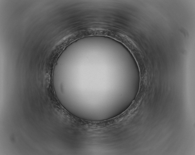 X0000113370821200910061058