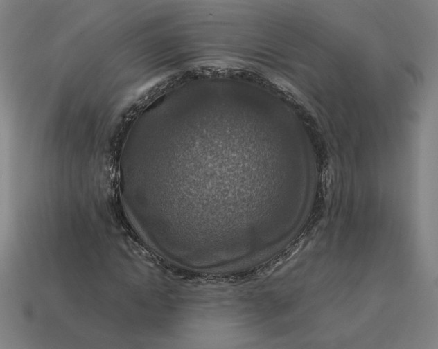 X0000113370822200910061058