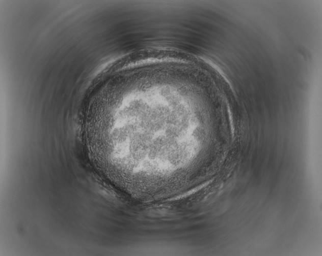 X0000113370823200910061058