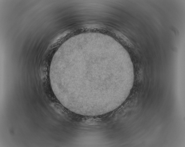 X0000113370824200910061058