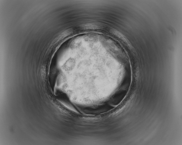 X0000113370825200910061058