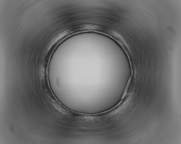 X0000113370827200910061058