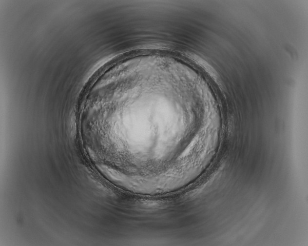 X0000113370829200910061058