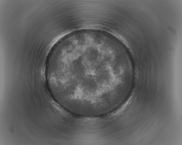 X0000113370830200910061058