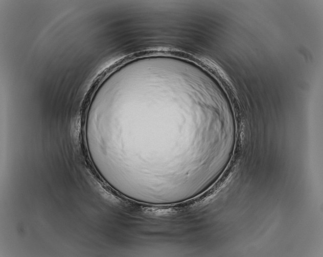 X0000113370831200910061058