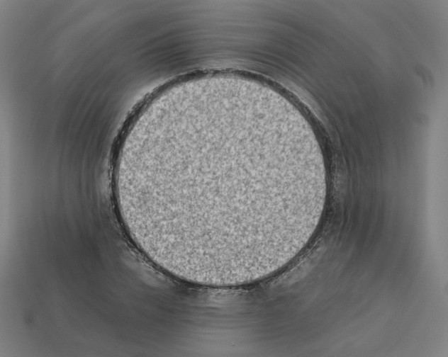 X0000113370832200910061058