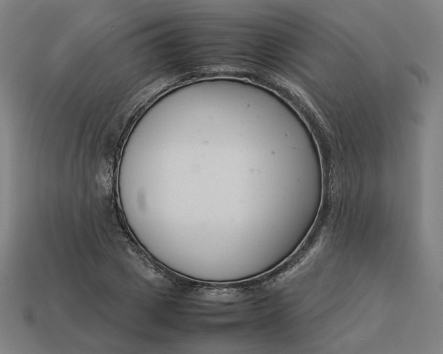 X0000113370833200910061058