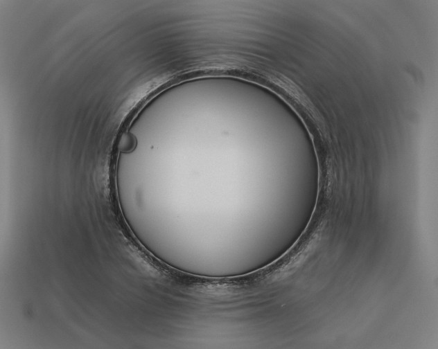 X0000113370834200910061058