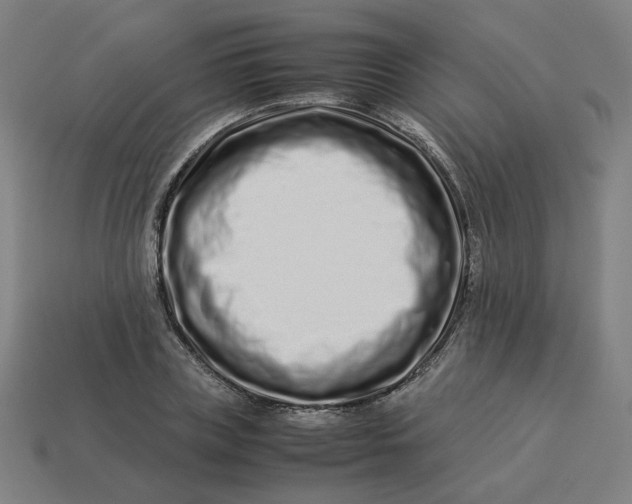 X0000113370835200910061058