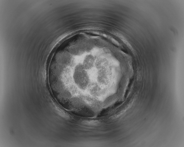 X0000113370837200910061058