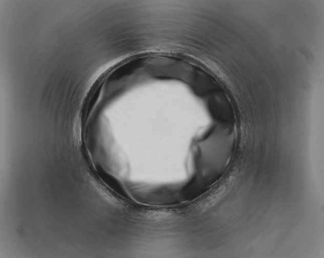 X0000113370838200910061058