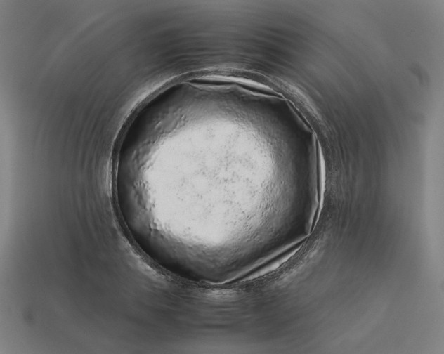 X0000113370839200910061059