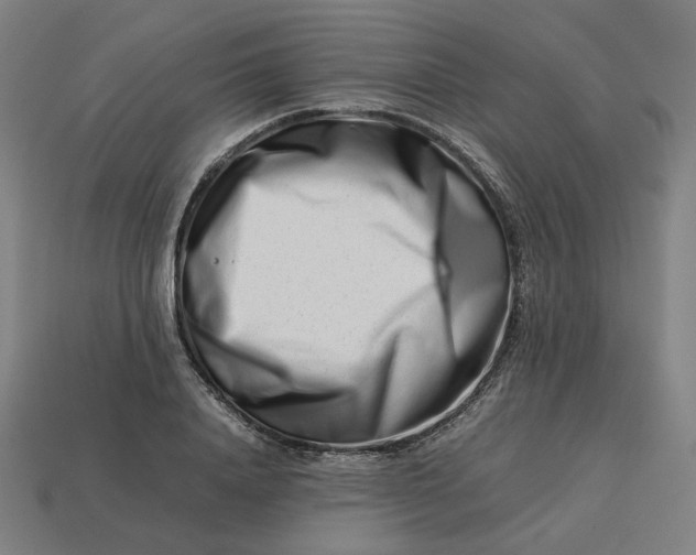 X0000113370840200910061059