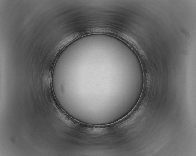 X0000113370841200910061059