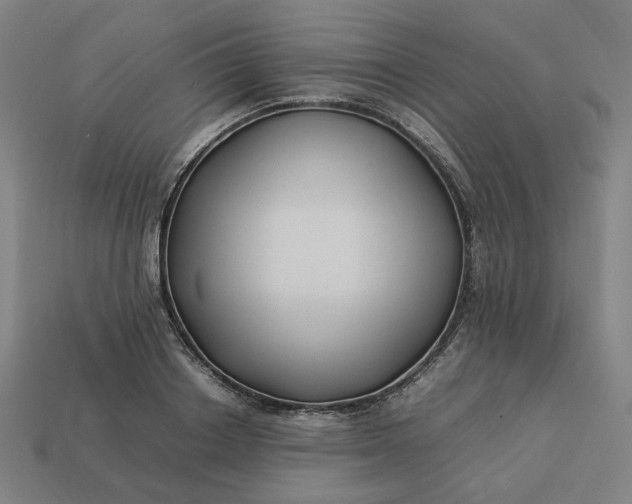 X0000113370842200910061059