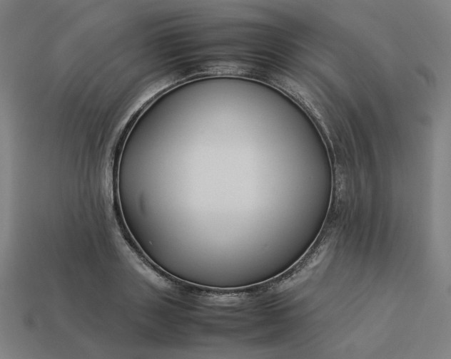 X0000113370843200910061059