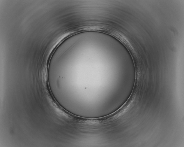 X0000113370844200910061059